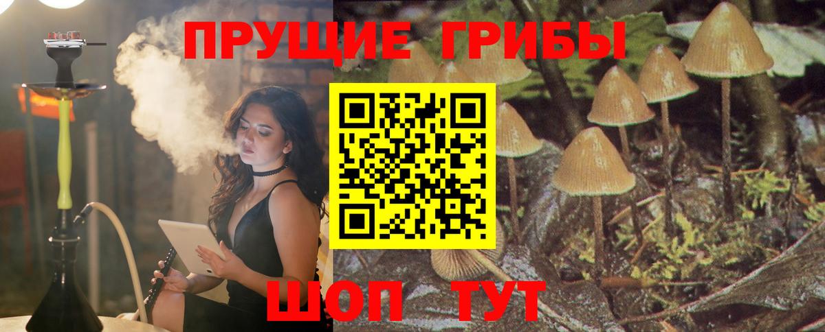 Галлюциногенные грибы Cubensis Соль-Илецк
